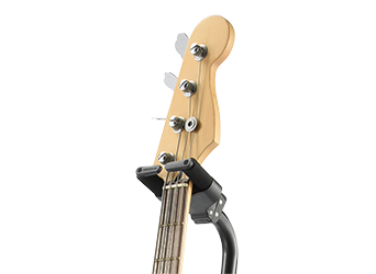Fretted and Bowed Instrument