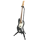 Fretted and Bowed Instrument Fretted and Bowed Instrument